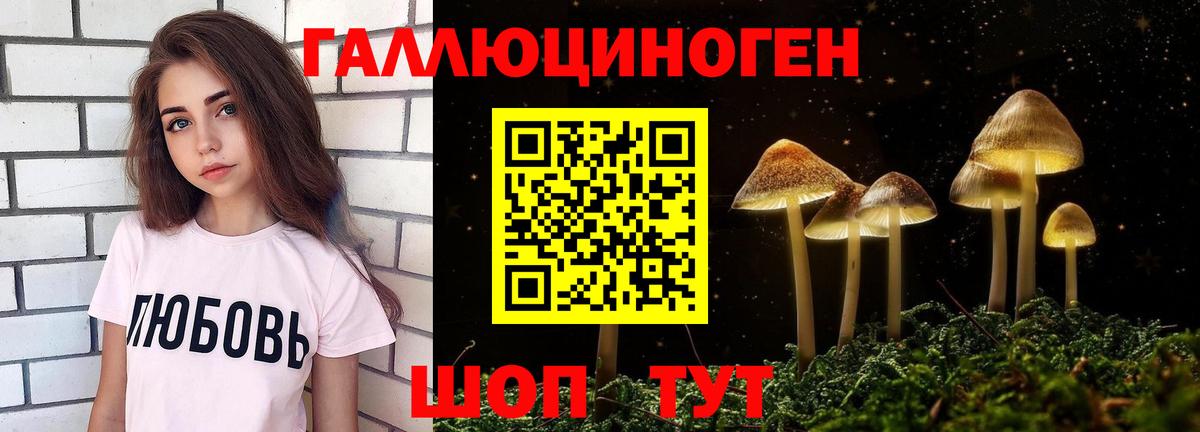 купить   Вход с VPN  Ялта  Галлюциногенные грибы Cubensis 